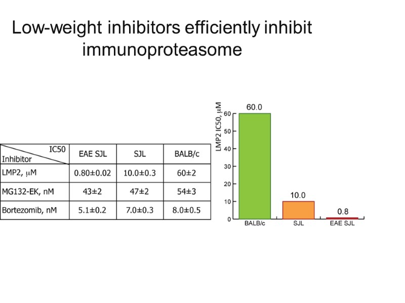 Low-weight inhibitors efficiently inhibit immunoproteasome